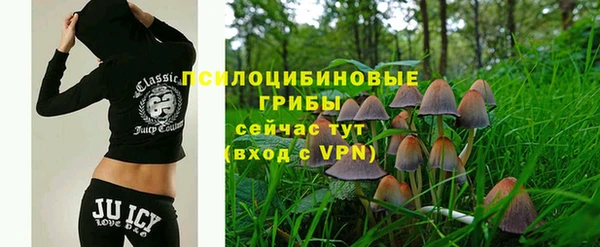 прущие крисы Алексин